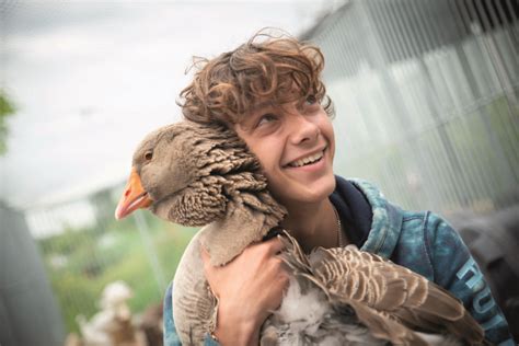How to Succeed in Your Dierenverzorger Opleiding